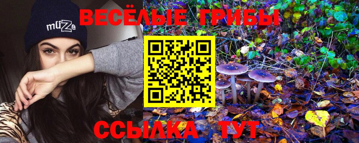 Галлюциногенные грибы прущие грибы Зерноград
