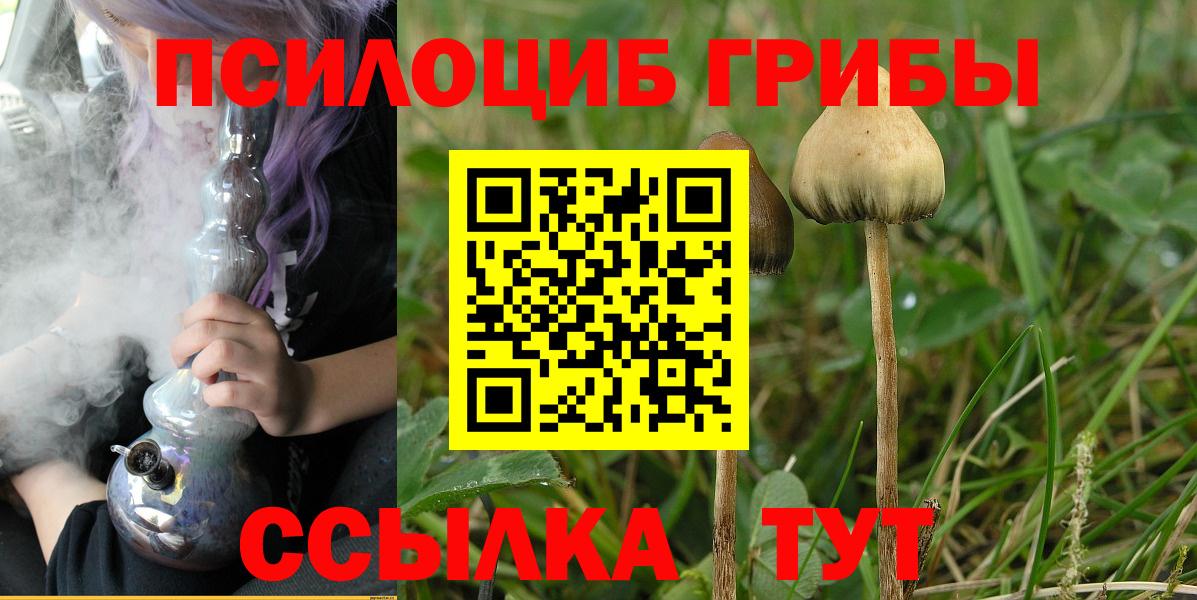Псилоцибиновые грибы Cubensis  Вход с VPN  Зерноград 